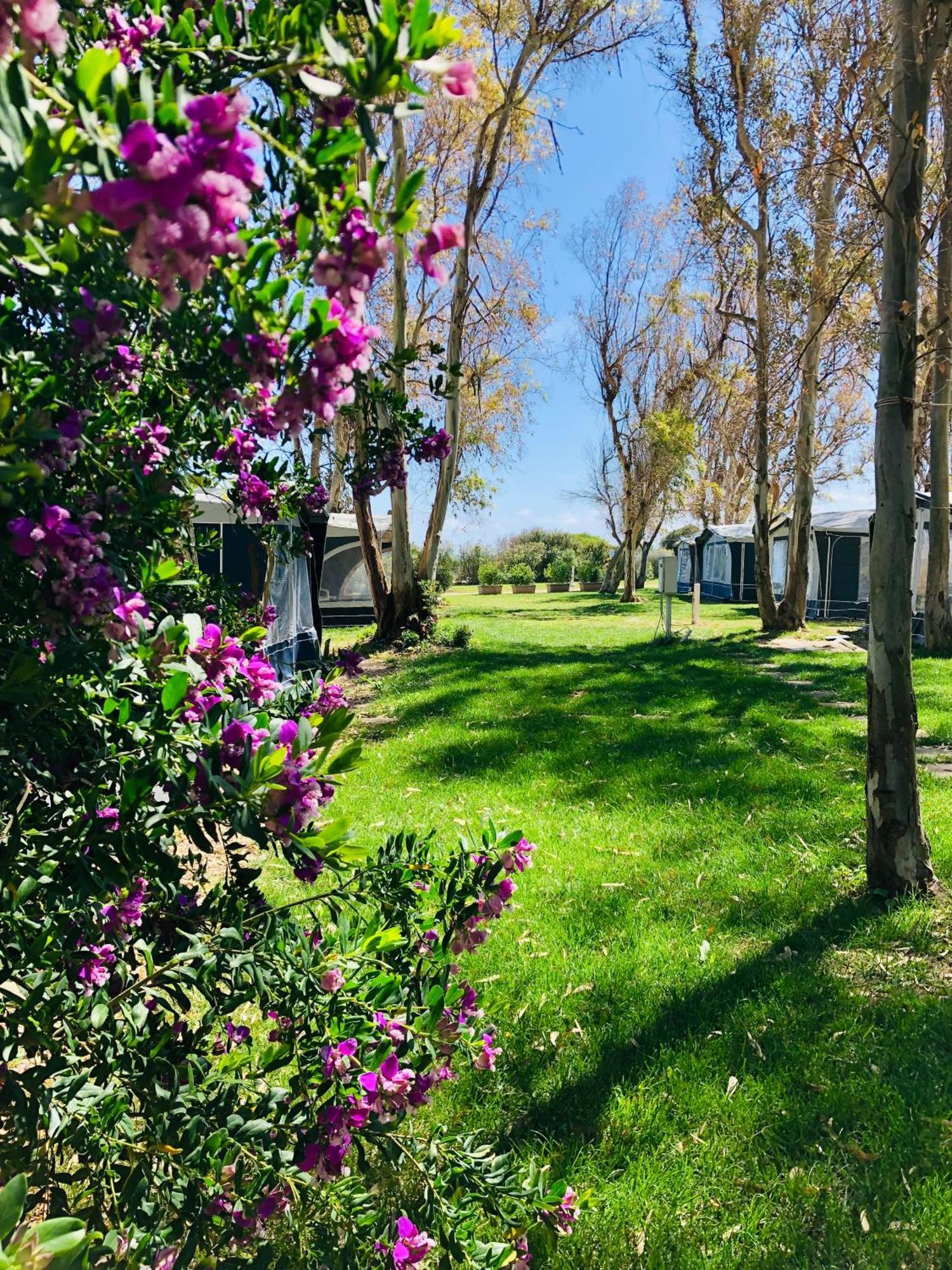 Camping Cala D'Ostia Pula Dış mekan fotoğraf