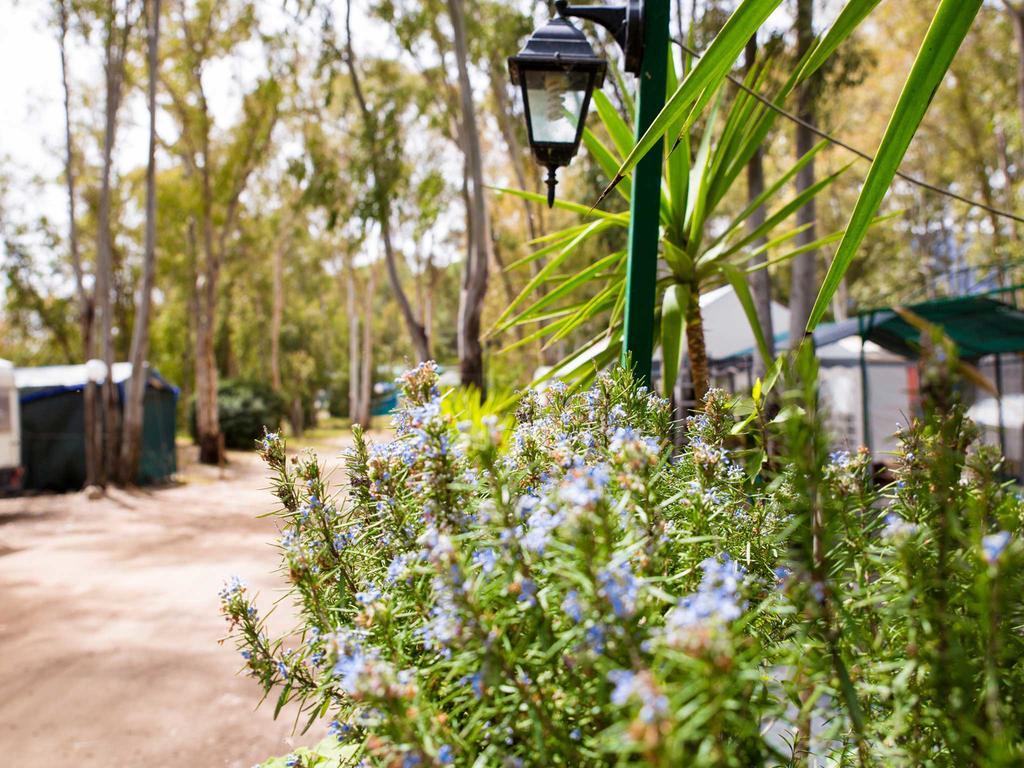 Camping Cala D'Ostia Pula Dış mekan fotoğraf