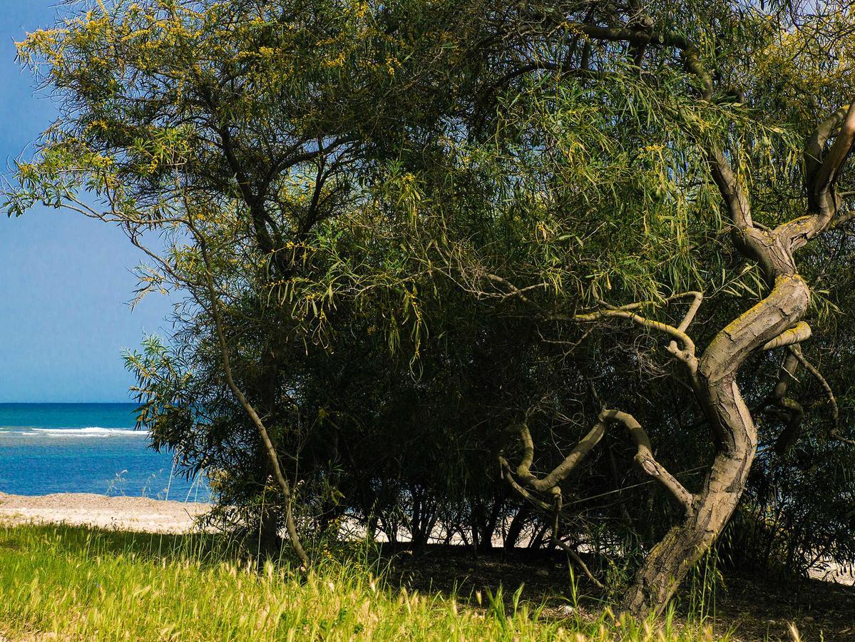 Camping Cala D'Ostia Pula Dış mekan fotoğraf